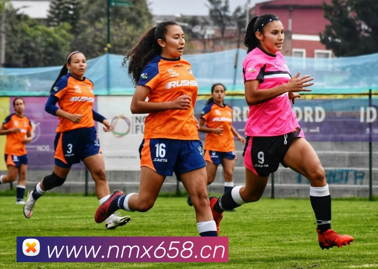 星空网页版登录入口平台生态图